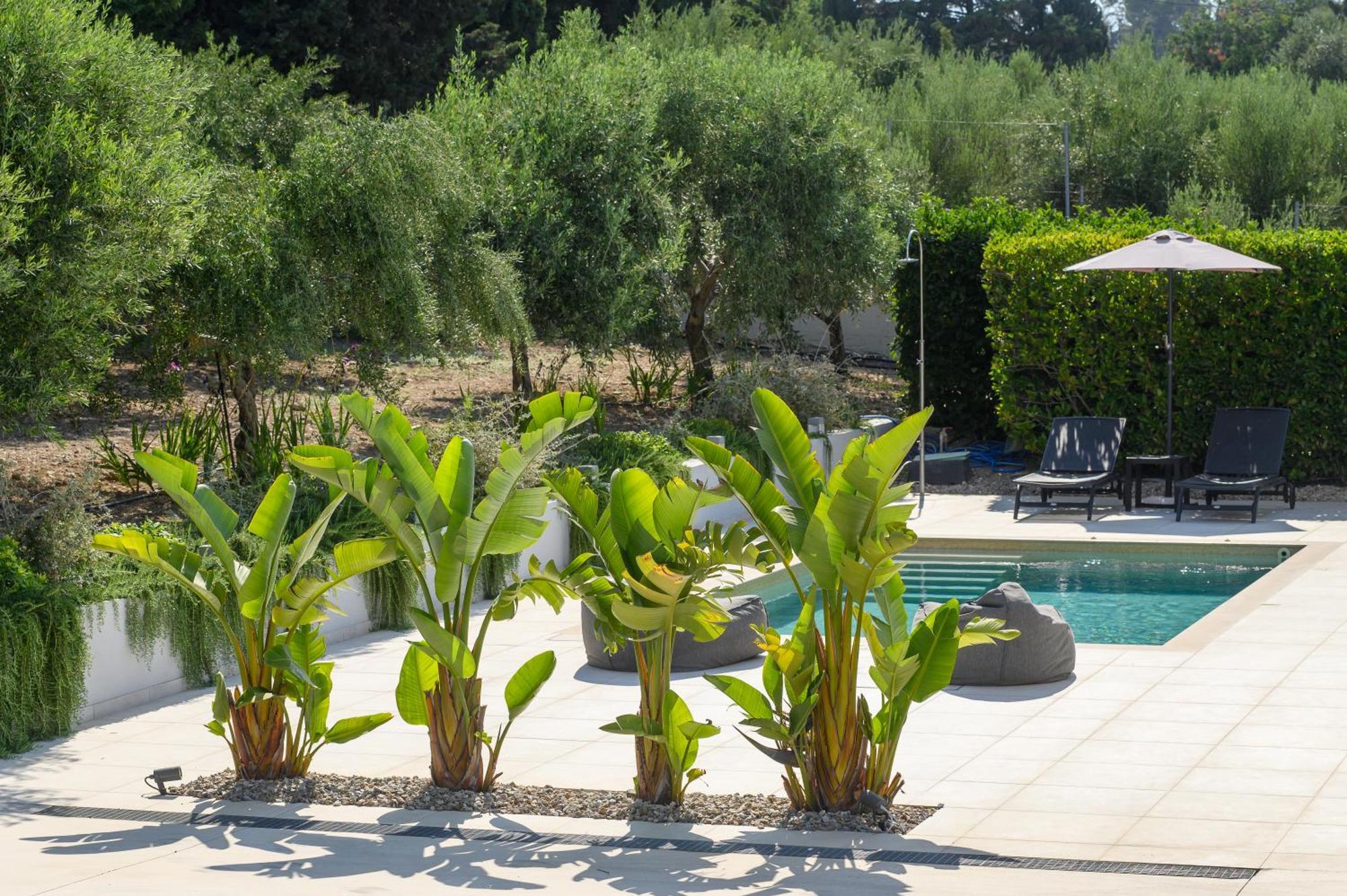 Phillyrea Luxury Villas 科斯镇 外观 照片